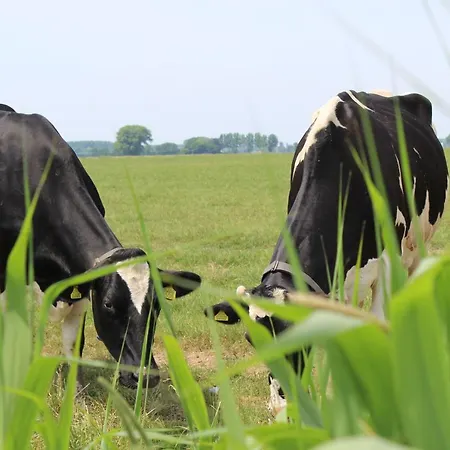 Farm Kievit * Genderen